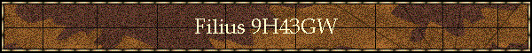 Filius 9H43GW